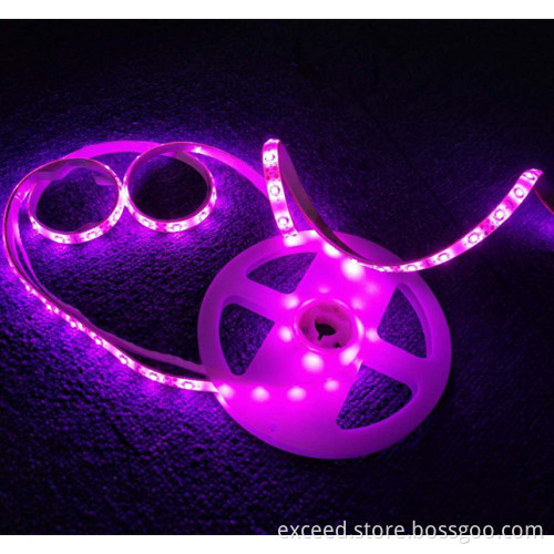 Double LED Body Sensor Bed Light